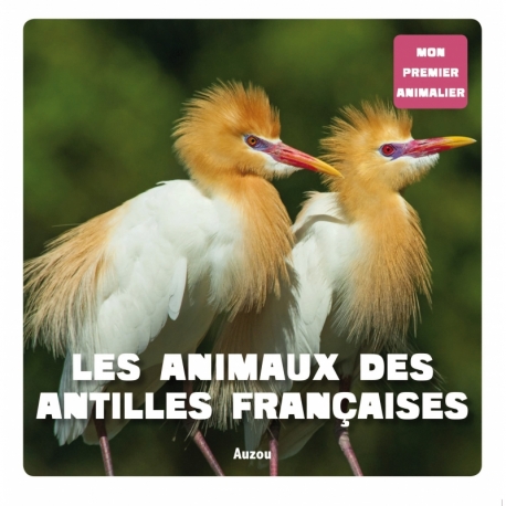 Les animaux des antilles françaises